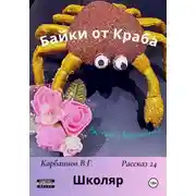Постер книги Байки от Краба 24. Школяр