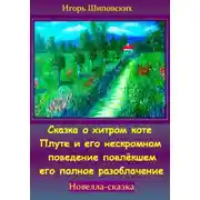 Постер книги Сказка о хитром коте Плуте и его нескромном поведение повлёкшем его полное разоблачение