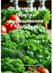 Война Владимир - От семечка до тарелки: выращивание салатов
