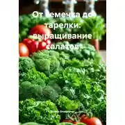 Постер книги От семечка до тарелки: выращивание салатов