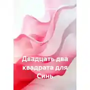 Постер книги Двадцать два квадрата для Синь