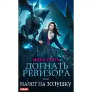 Постер книги Догнать ревизора, или Налог на Золушку