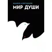 Постер книги Мир души