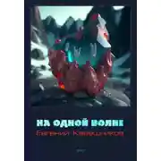 Постер книги На одной волне