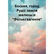 Постер книги Босния, город Рудо: земля малины и «Фольксвагенов»