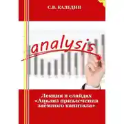 Постер книги Лекция в слайдах «Анализ привлечения заёмного капитала»
