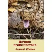 Постер книги Ночное происшествие