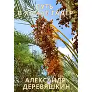 Постер книги Путь в Хамат Гадер