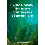 Постер книги Ну, волк, погоди! Или новые приключения оборотня Тени