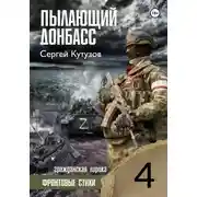 Постер книги Пылающий Донбасс