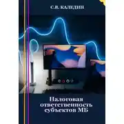 Постер книги Налоговая ответственность субъектов МБ