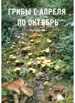 Василий Смирнов - Грибы с апреля по октябрь