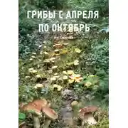 Постер книги Грибы с апреля по октябрь