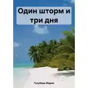 Постер книги Один шторм и три дня