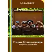 Постер книги Теория Менеджмента. Вопросы и ответы 2