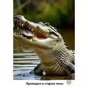 Постер книги Крокодил и старые часы