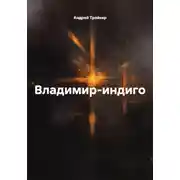 Постер книги Владимир-индиго