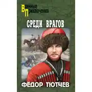 Постер книги Среди врагов