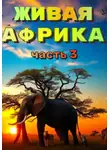 Наталья Баркар - "Живая Африка" Часть 3
