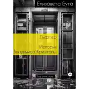 Постер книги Лифтер. История Владимира Криштопы