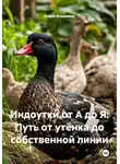 Война Владимир - Индоутки от А до Я: Путь от утёнка до собственной линии