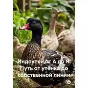 Постер книги Индоутки от А до Я: Путь от утёнка до собственной линии
