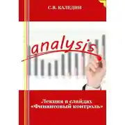 Постер книги Лекция в слайдах «Финансовый контроль»