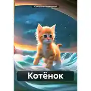 Постер книги Котёнок