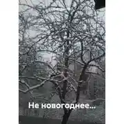 Постер книги Не новогоднее…