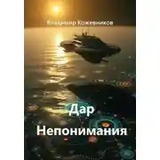 Постер книги Дар Непонимания