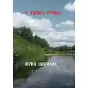 Постер книги У тихого ручья
