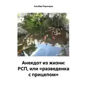 Постер книги Анекдот из жизни: РСП, или «разведенка с прицепом»