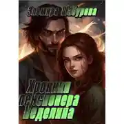Постер книги Хроники пенсионера Неделина