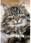 Юлия Смирнова - Про кота