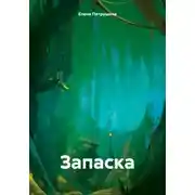 Постер книги Запаска