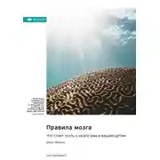 Постер книги Правила мозга. Что стоит знать о мозге вам и вашим детям. Джон Медина. Саммари