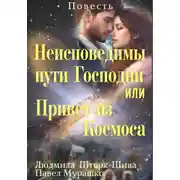 Постер книги Неисповедимы пути Господни, или Привет из Космоса