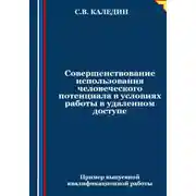 Постер книги Совершенствование использования человеческого потенциала в условиях работы в удаленном доступе