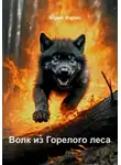 Юрий Филин - Волк из Горелого леса