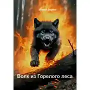 Постер книги Волк из Горелого леса