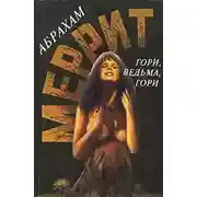 Постер книги Гори, ведьма, гори!