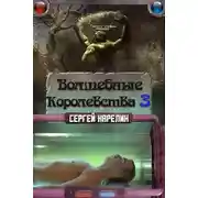 Постер книги Волшебные Королевства 3