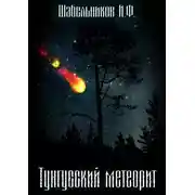 Постер книги Тунгусский метеорит