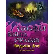 Постер книги Ведьмин бал