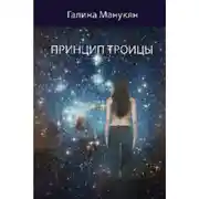 Постер книги Принцип Троицы