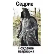 Постер книги Рождение Патриарха
