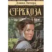 Постер книги Стрекоза