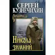 Постер книги Никола зимний