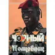 Постер книги Чорный полковник
