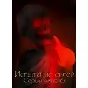 Постер книги Испытание силой